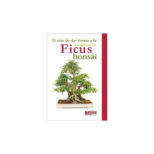 Guide till ficusbonsai