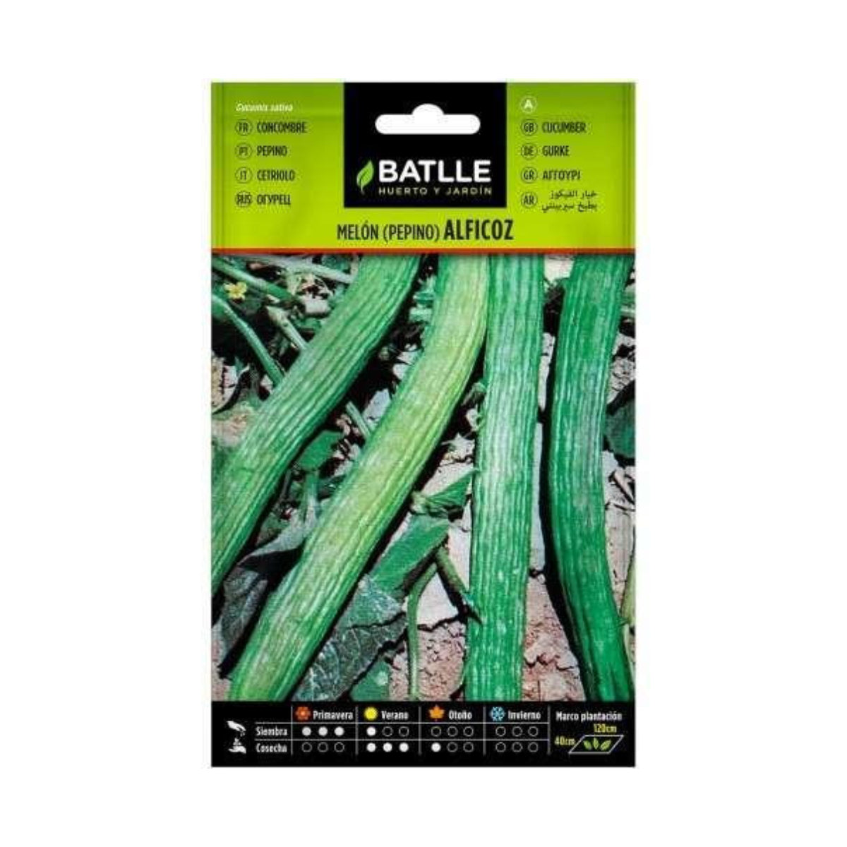 Gurkensamen Alficoz Batlle
