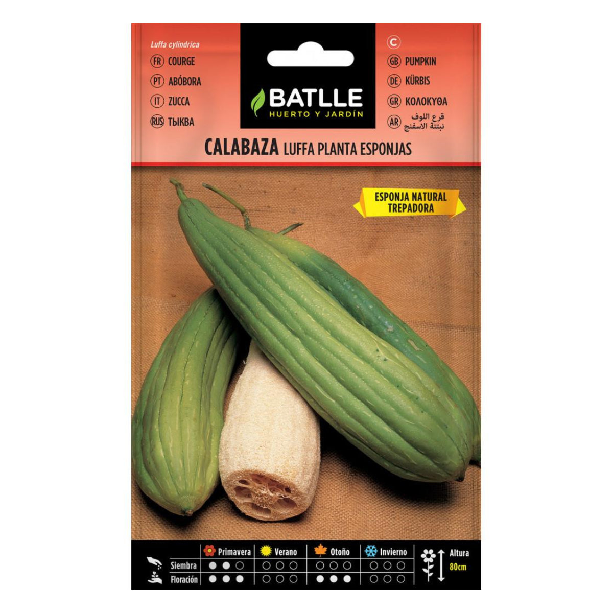 Pumpafrön Lufa Batlle