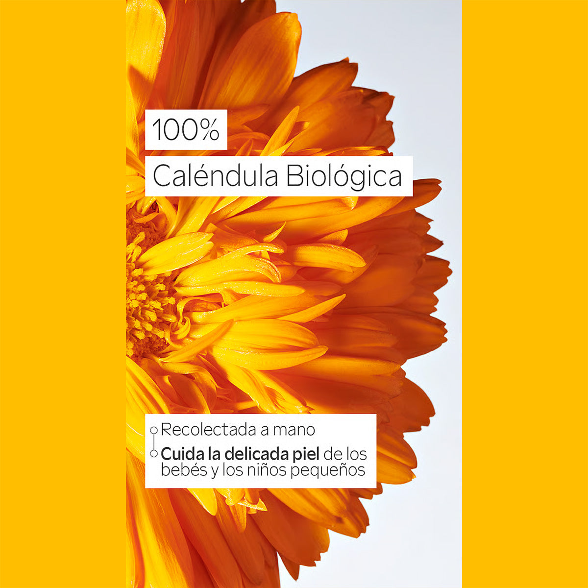 Huile pour le ventre de bébé Weleda, 50 ml