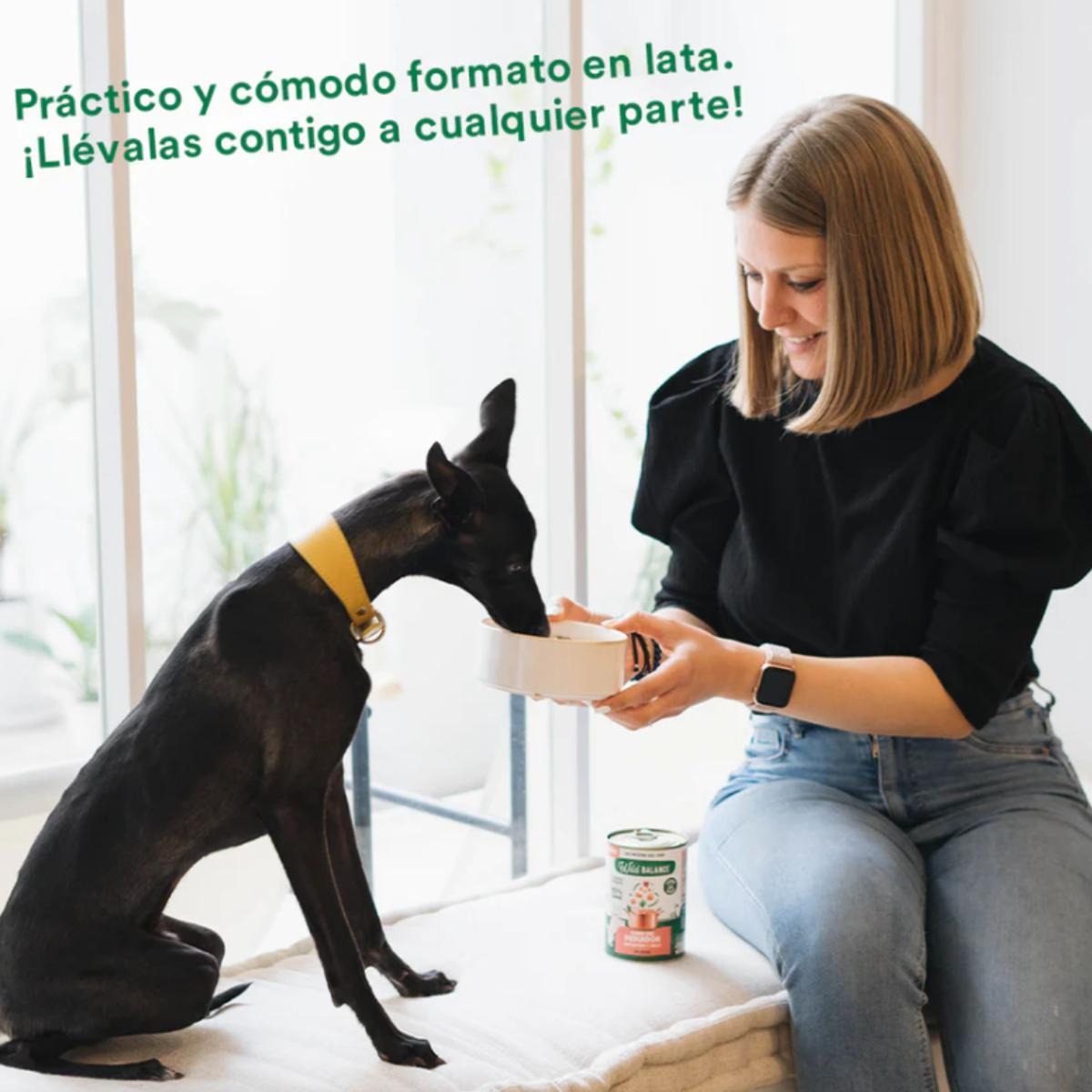 Pack 6X Guiso del pescador salmón y cerdo para perros Wild Balance 400 g