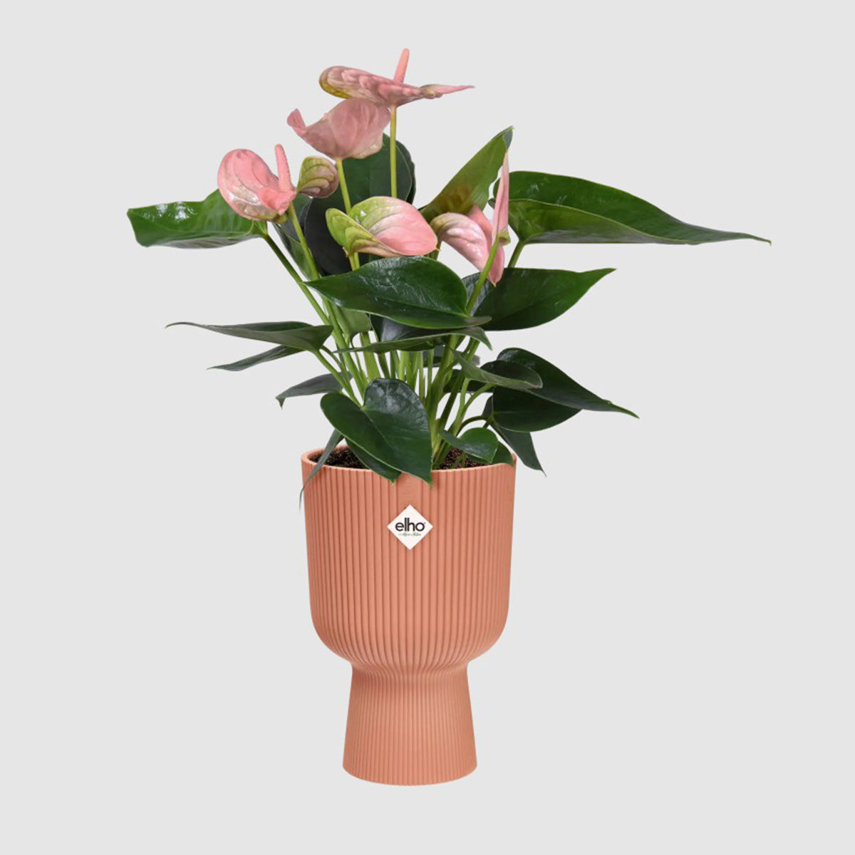 Bloempot Vibes Fold Coupe Delicate Pink Elho 14 cm