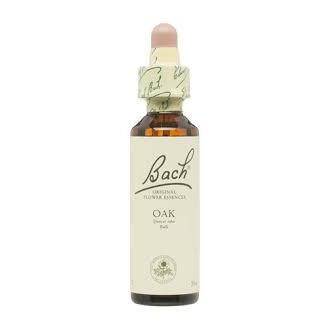 Bach 22 Oak 20 ml (Bachbloesems Eik) Bach