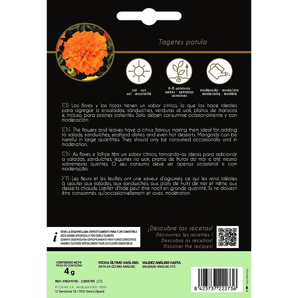 Essbare Blumensamen von Tagete Rocalba