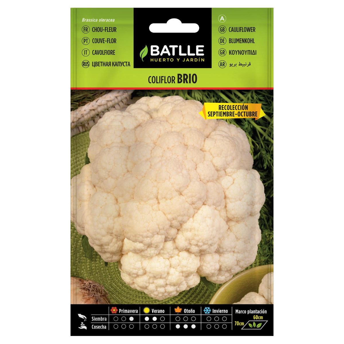 Cauliflower seeds Brio Sel. Urgelba Batlle