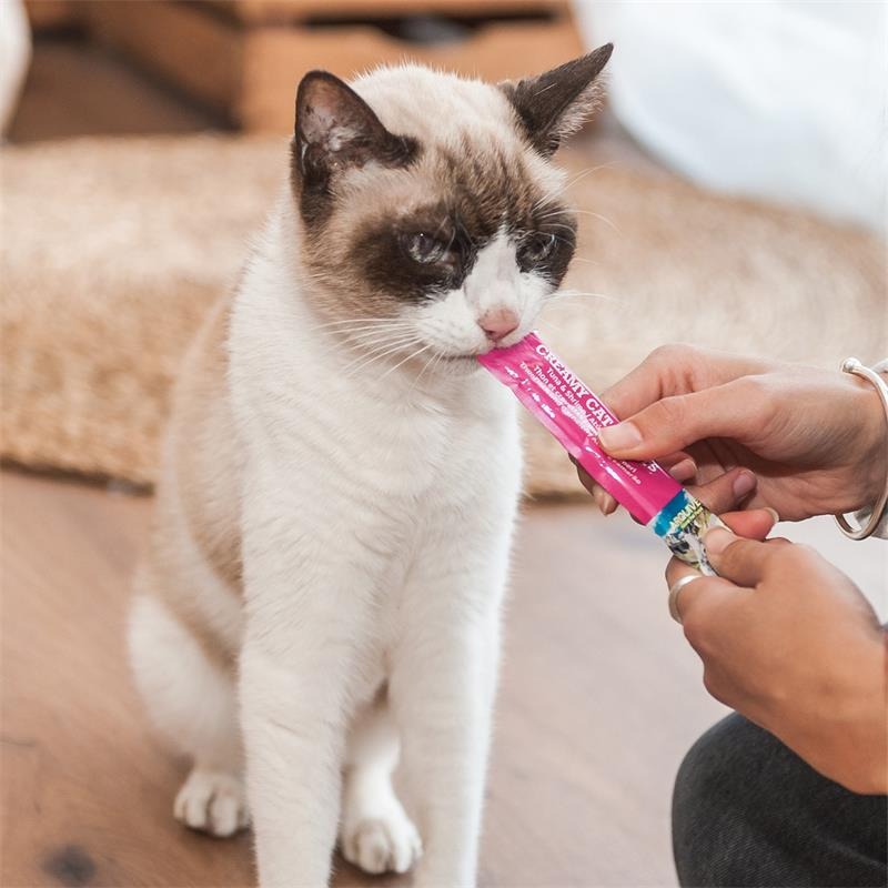 Creamy Cat Treats Snack cremoso al tonno e merluzzo Arquivet 5x14 g