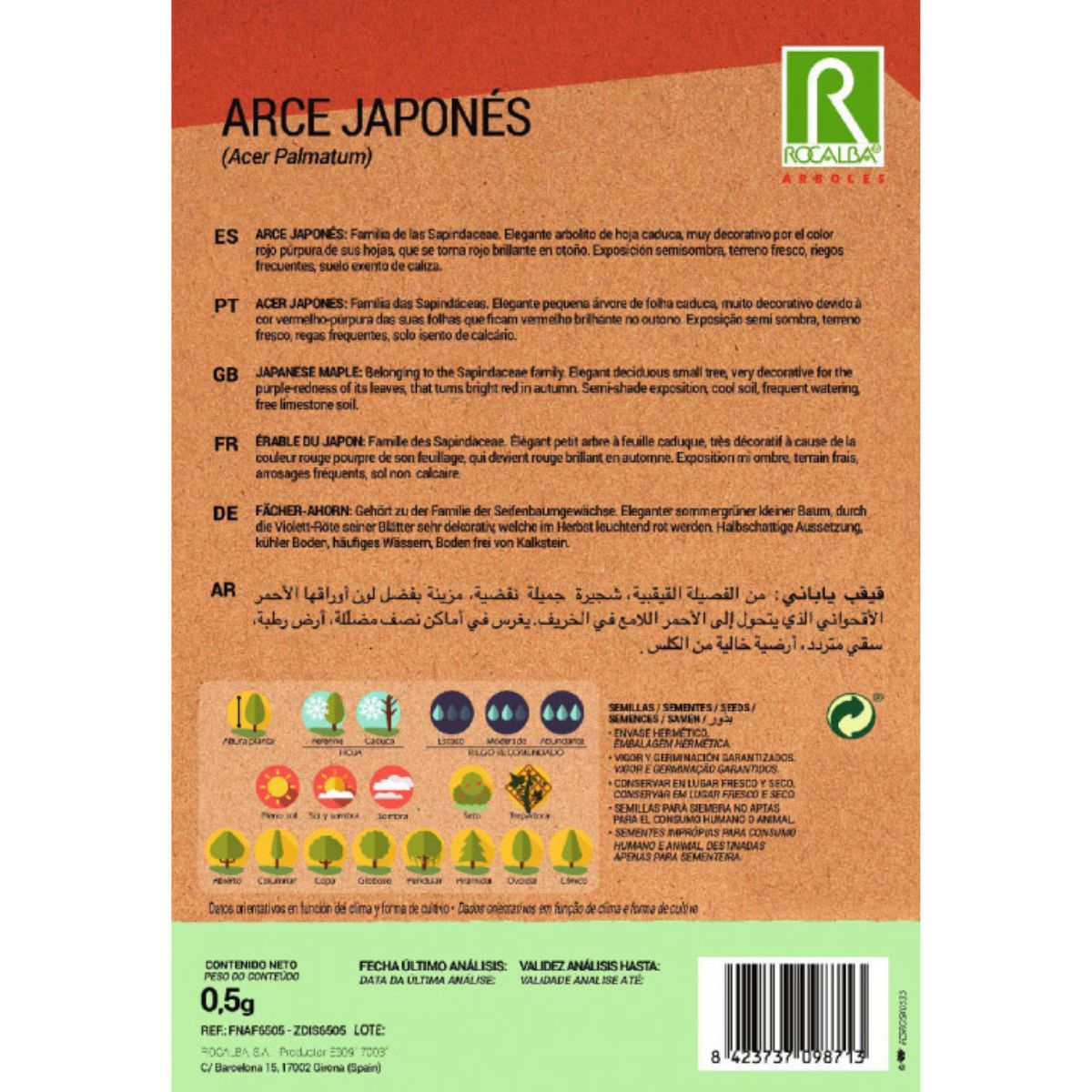 Japanska lönnfrön Acer palmatum