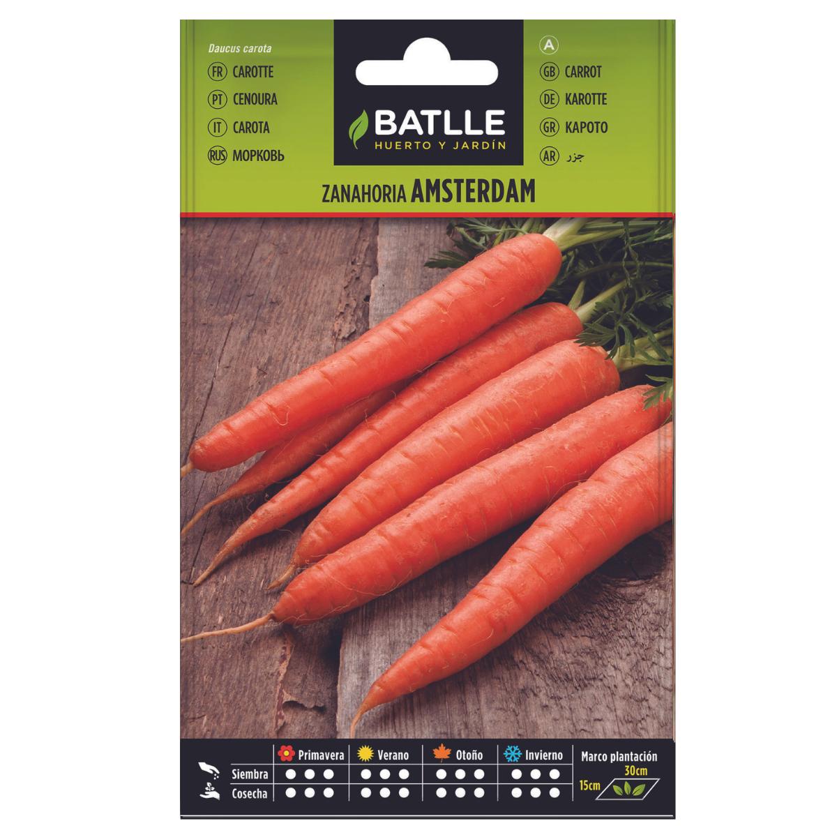 Amsterdam Batlle Carrot Seeds