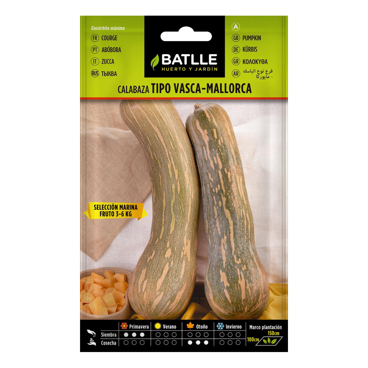 Basque-Mallorca type pumpkin seeds, selected by Marina Batlle