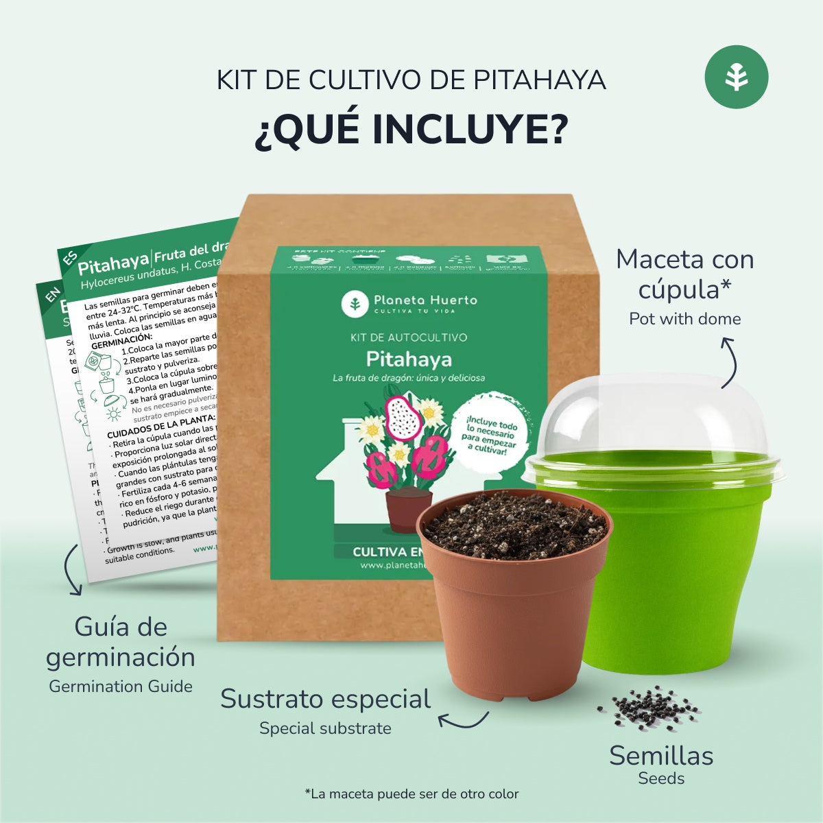 Drachenfrucht Pitahaya Bausatz für den Selbstanbau Planeta Huerto