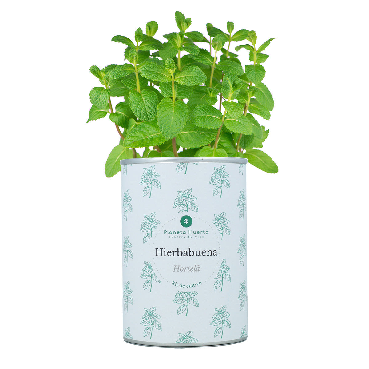 Aromatiska odlingssatser Bröstkorgsväska Planeta Huerto