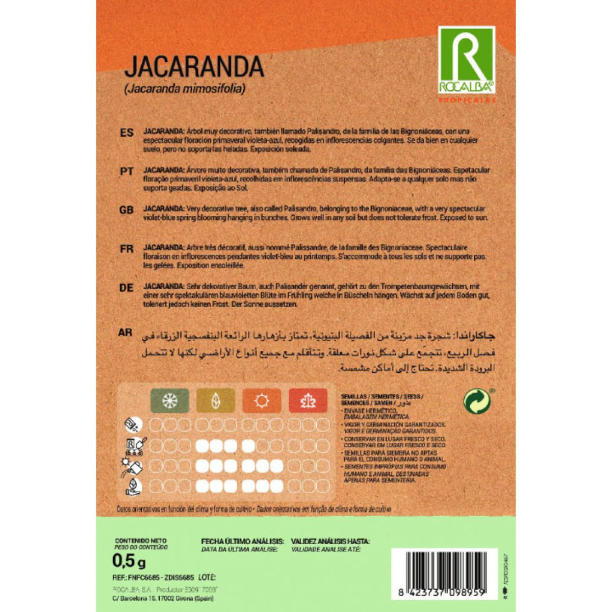 Samen von Jacaranda Jacaranda mimosifolia