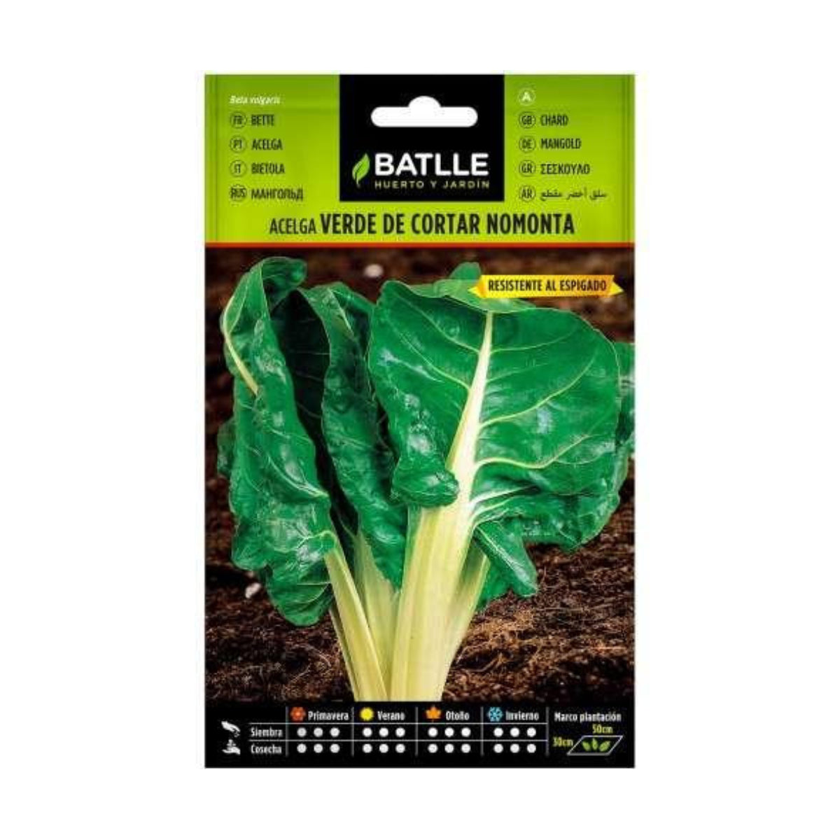 Zaadjes van groene snijbiet nomonta Batlle