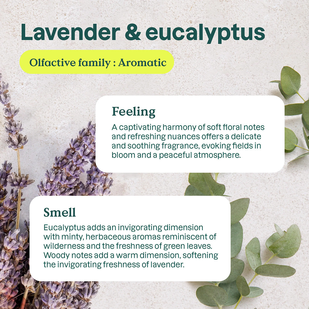 Attitude Natürlicher Lufterfrischer Eukalyptus und Lavendel 227 g