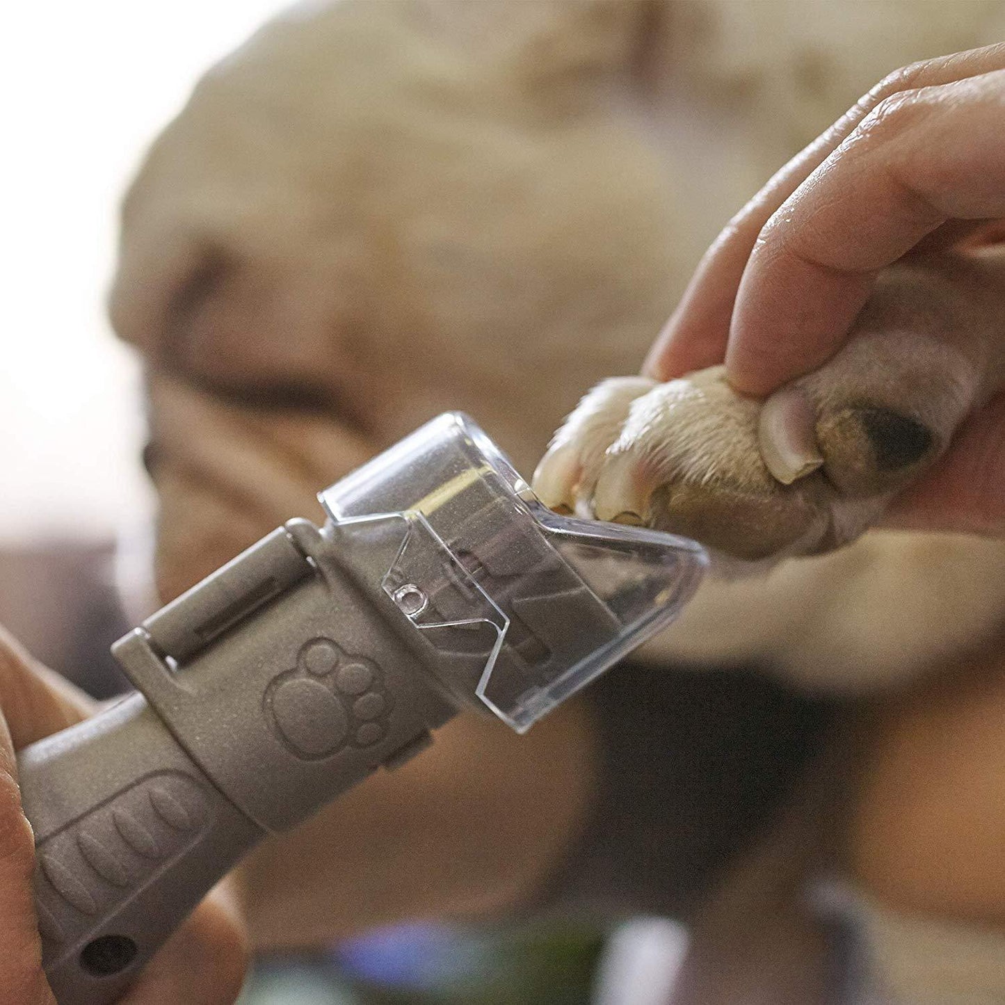 Kit för vård av husdjurs naglar Dremel 7020-PGK