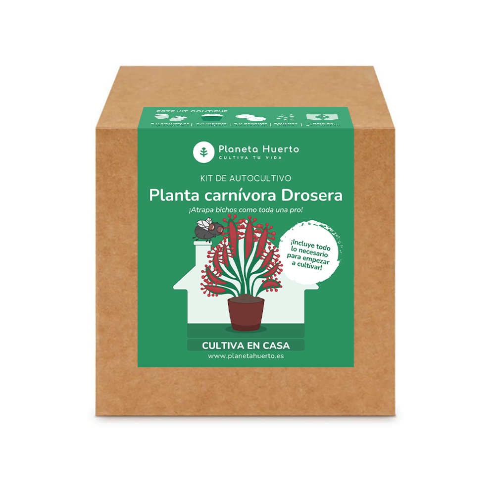 Zelfkweekkit Vleesetende plant Drosera Drosera Planet Garden