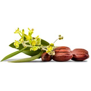 Volymmaske -Brown Lavera 9 ml