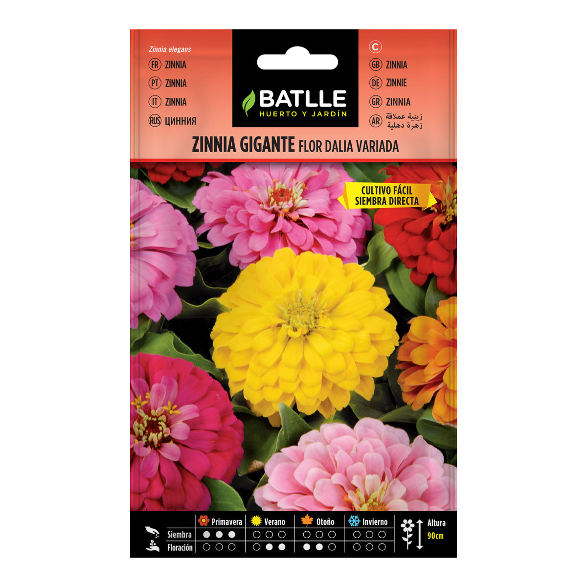 Semi di Zinnia gigante fiore Dalia assortiti Batlle