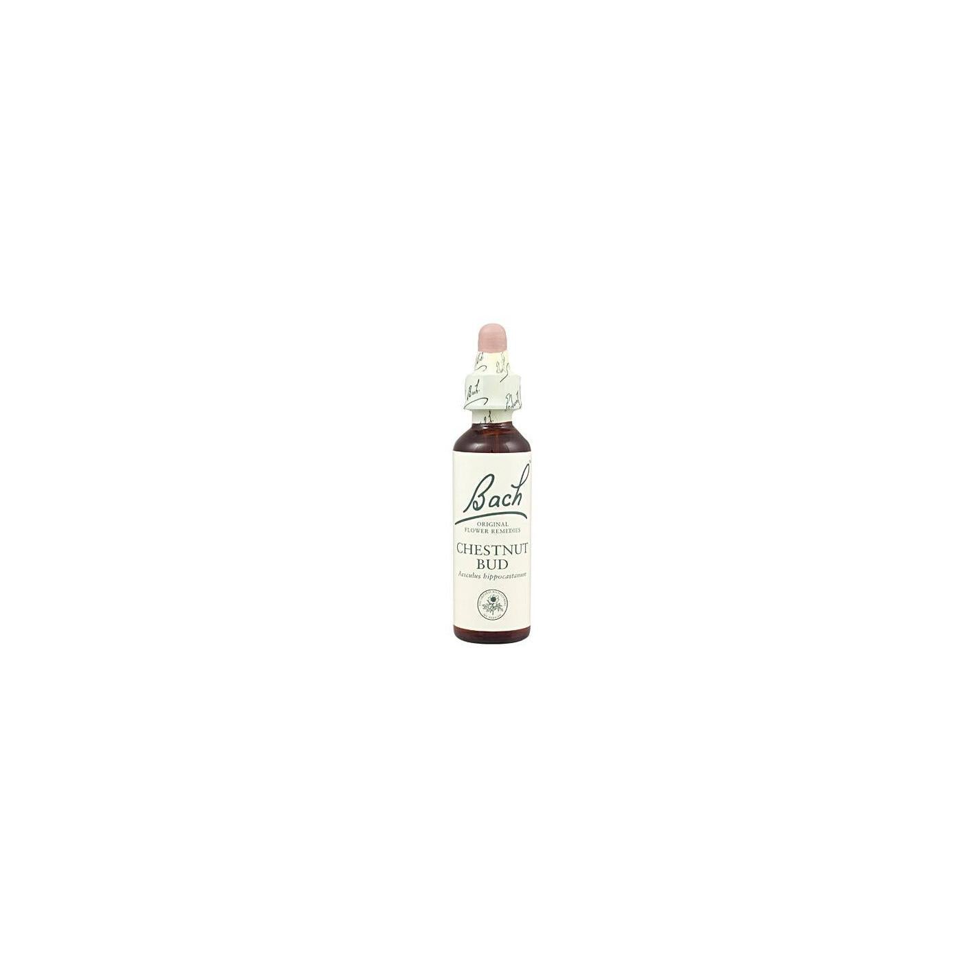 Bach 07 Kastanienknospe 20 ml (Kastanienknospe) Bach
