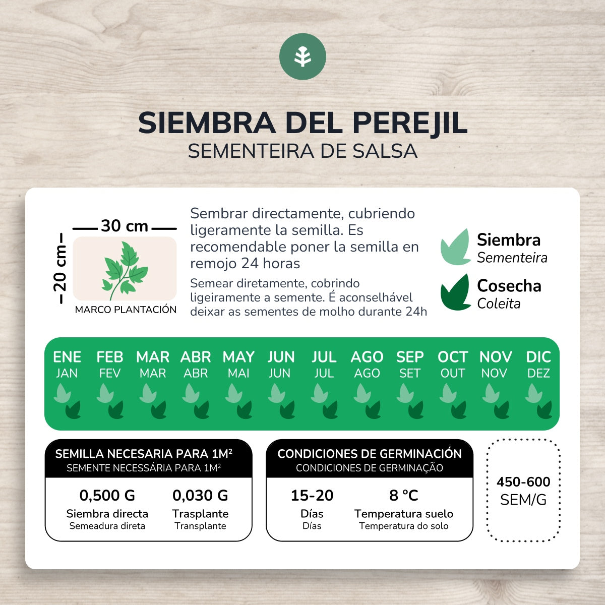 Semillas de Perejil común hoja lisa ecológicas Planeta Huerto