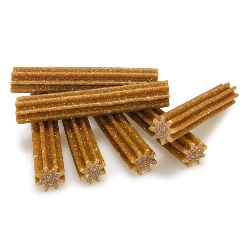 Bâtonnets dentaires frais Arquivet 7 unités