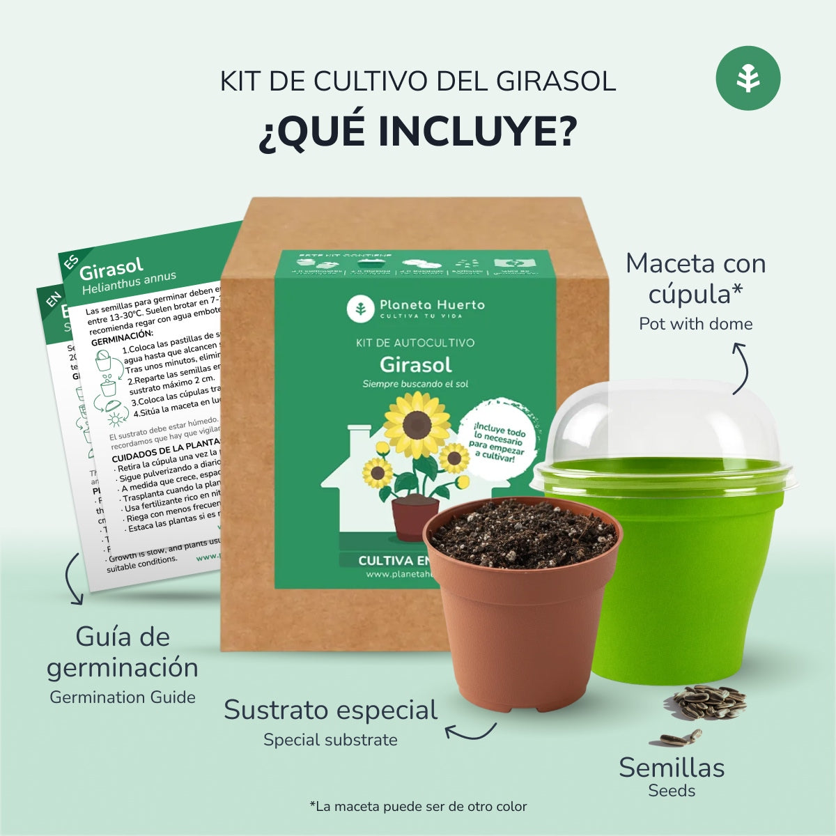 Kit d'autoculture de tournesol Planeta Huerto