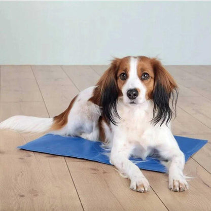 Tapis rafraîchissant pour animaux Trixie 90 × 50 cm
