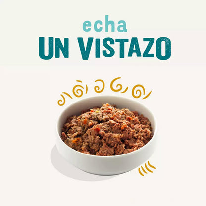 Multipack Mokra karma dla psów Edgard & Cooper 6 x 400 g