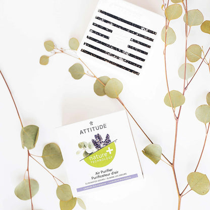 Attitude Natürlicher Lufterfrischer Eukalyptus und Lavendel 227 g