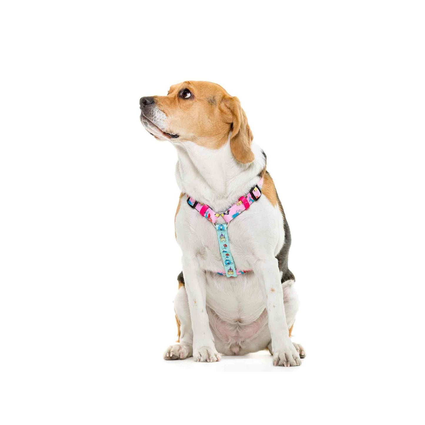 Klassiek harnas voor honden PRINCESS Dukier maat L L