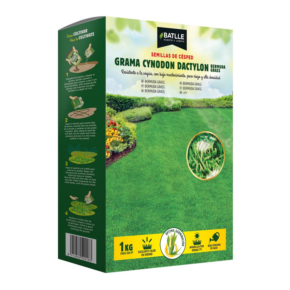 Semi di gramigna Cynodon dactylon 5 kg