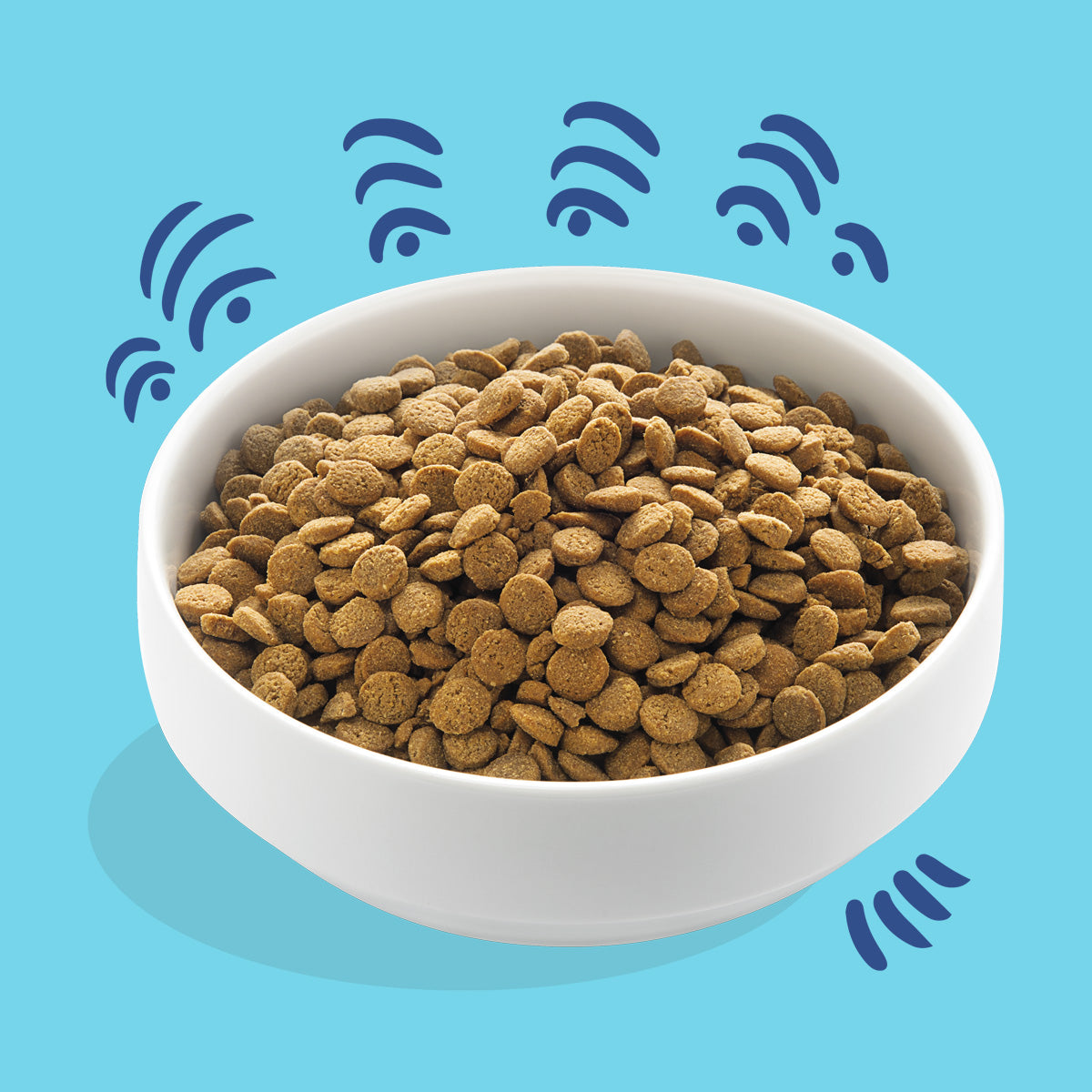 Hundfoder med norsk lax Edgard & Cooper 1 kg