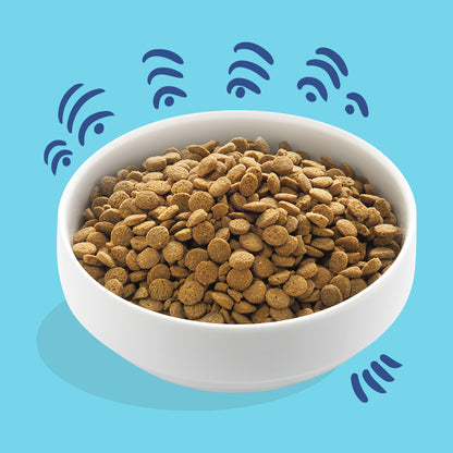 Hundfoder med norsk lax Edgard & Cooper 1 kg