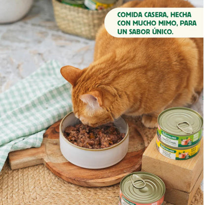 Zestaw rybny z łososiem i wieprzowiną dla kotów 6 x 80 g Wild Balance