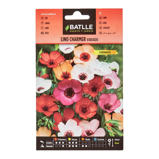 Graines de lin charmer mix Batlle