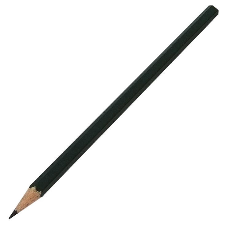 Zink-Etiketten 25 cm Biotop – 10 Stück + Stift für Gemüsegarten und Garten