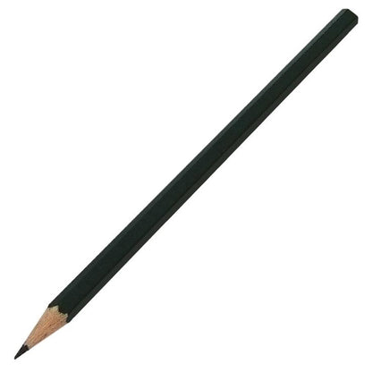 Zink-Etiketten 25 cm Biotop – 10 Stück + Stift für Gemüsegarten und Garten