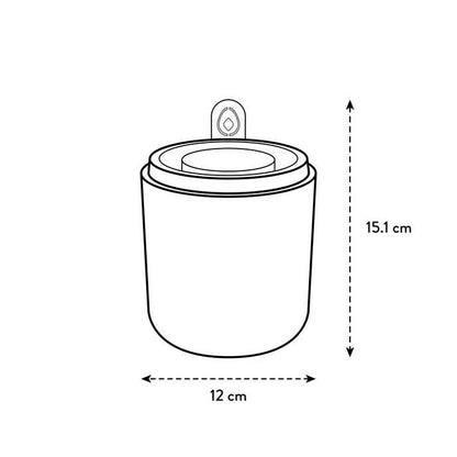 Doniczka do kiełkowania awokado Amazing Avocado Elho Verde