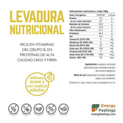 Pack 2x Levadura Nutricional Bland en copos Energy Feelings 1 Kg