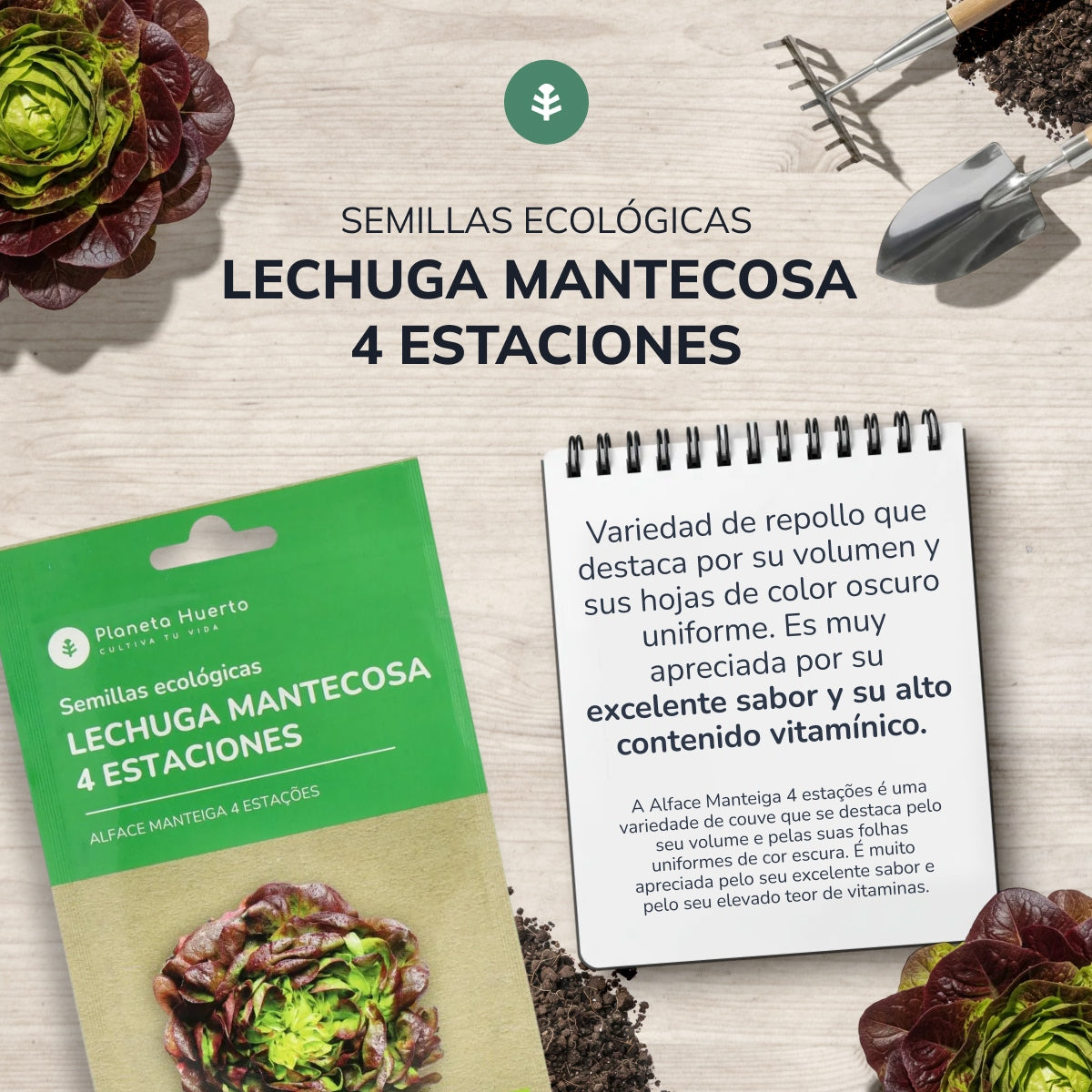 Organiczne nasiona sałaty masłowej 4 Seasons Planet Garden