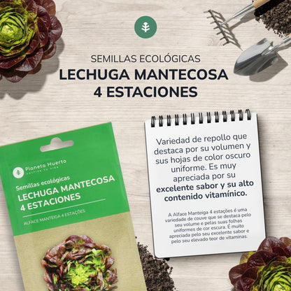 Organiczne nasiona sałaty masłowej 4 Seasons Planet Garden