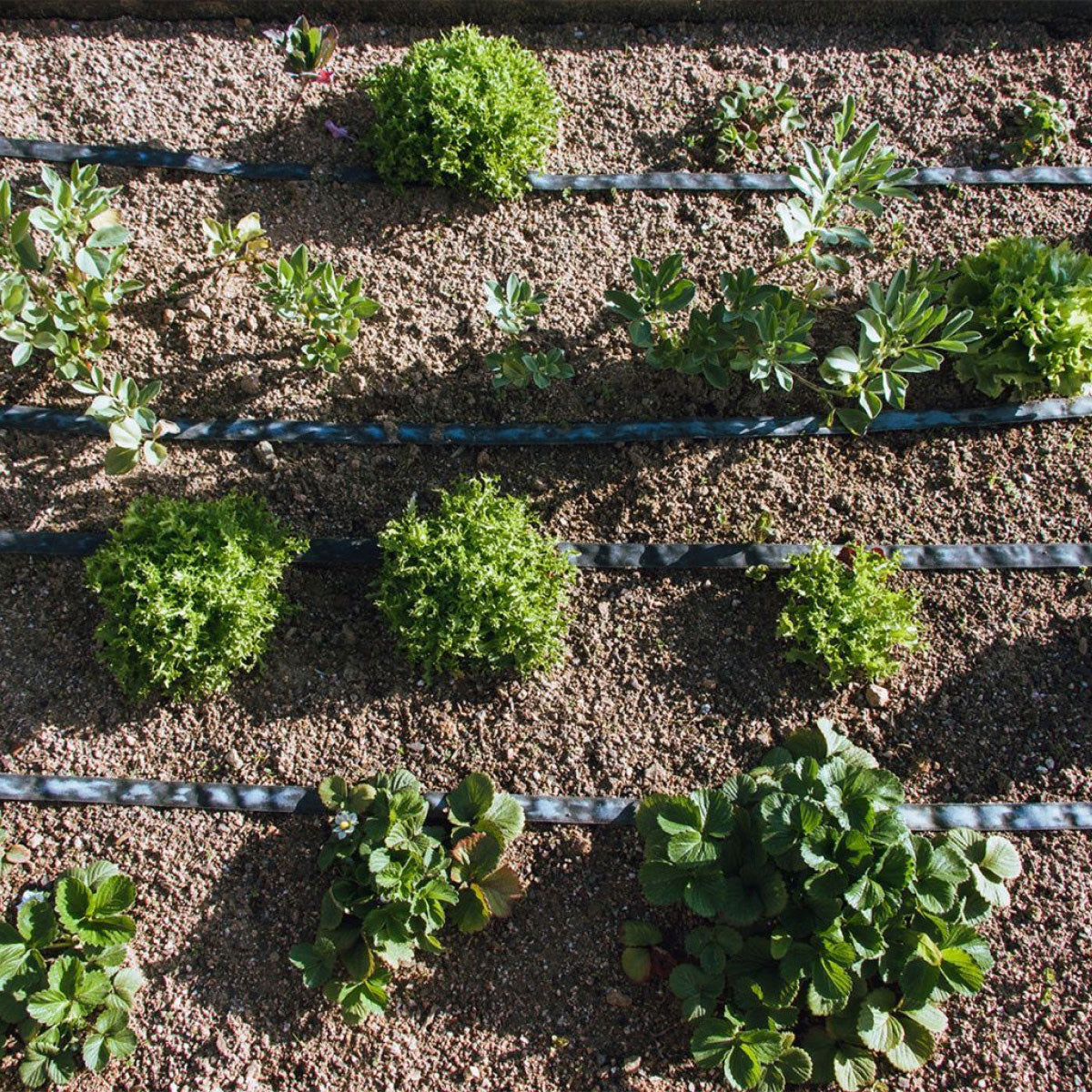 Ausscheidungsrolle Agro Planeta Huerto 25 m