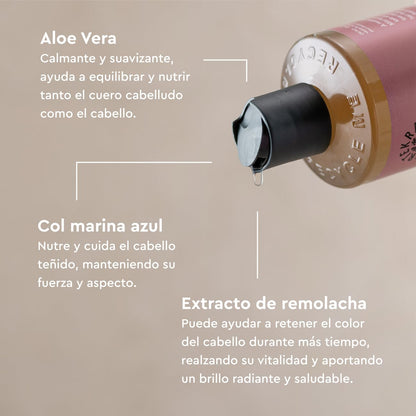 Shampoo Soft Wild Rose Color Urtekram, 500 ml