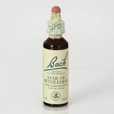 Bach 29 Star Of Bethlehem 20 ml (Stern von Bethlehem Bach