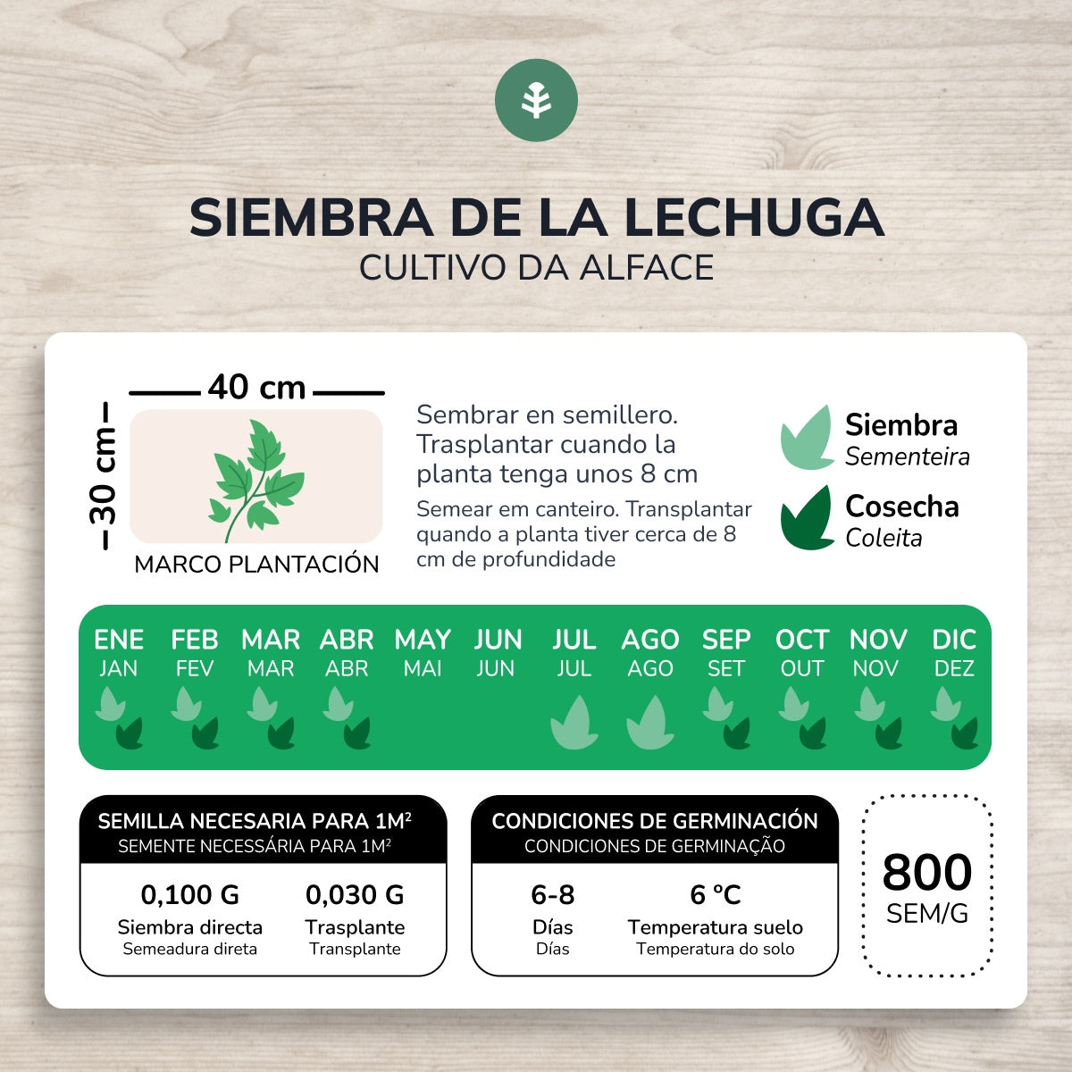 Organiczne nasiona sałaty masłowej 4 Seasons Planet Garden