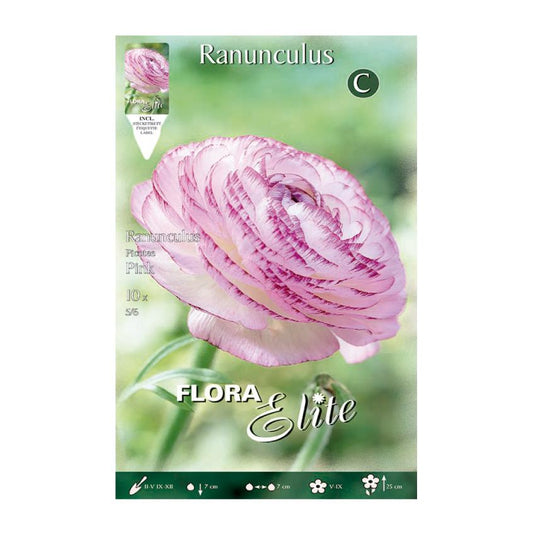 Bulbi Ranuncolo rosa 10 pz