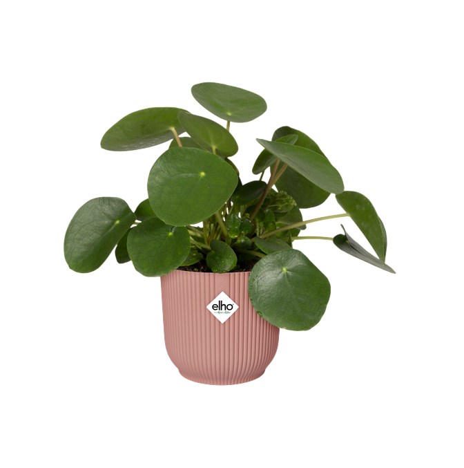 Elho Vibes Fold Round Delicate Pink Planter 25 cm