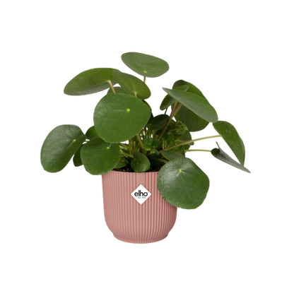 Elho Vibes Fold Round Delicate Pink Planter 25 cm