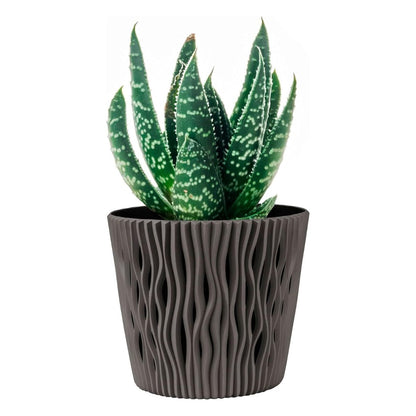 Pot Duna avec insert gris taupe D 16 x 14