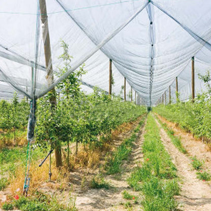 Filet anti-grêle Verdemax 2 x 10 m